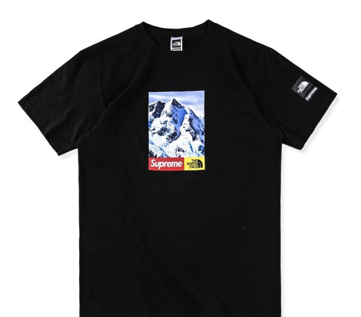 SUPREME 18夏季新作品 supreme×the north face mountain tee 半袖tシャツ クラシックロゴ クルーネック 3色可選 