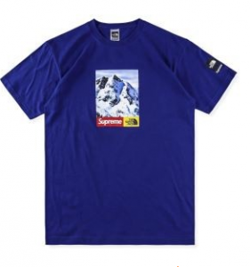 SUPREME 18夏季新作品 Supreme×The North Face Mountain Tee 半袖Tシャツ クラシックロゴ クルーネック 3色可選