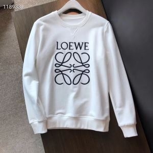 顧客セール大特価早い者勝ち LOEWE ロエベ プルオーバーパーカー 安心の関税 19SS 新作