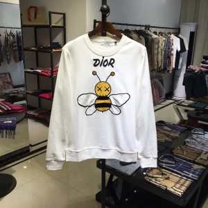 ディオール DIOR プルオーバーパーカー 2色可選 大満足...