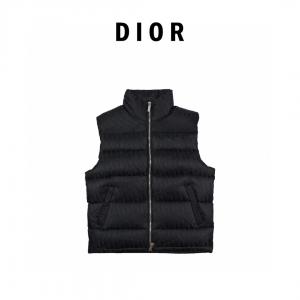 DIOR通販 ブランド素材感に注目 定番の人気ブランド オシャレな印象に    ダウンジャケット.