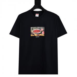 SUPREMENEW素敵 素材感に注目 大人キレイに仕立てる ブランド コピー 専門店    半袖短袖Ｔ.