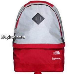 一味違うアイテム　シュプリーム スーパーコピー　supreme スーパーコピー The North face スーパーコピー/supreme スーパーコピー Reflective 3M Medium Day Pack Backpack 大容量あるバッグ_シュプリーム スーパーコピー メンズバッグ_バッグ メンズ_スーパーコピーブランド激安通販 専門店kidying269fyCia