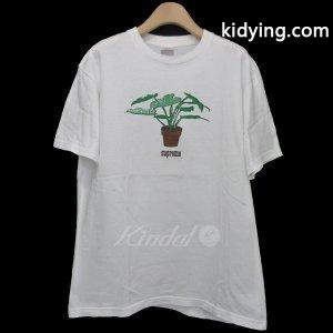 supreme スーパーコピー 2026AW「Plant Tee」プラントTシャツ ホワイト サイズ：M (原宿店) 180830 :8020000120432:カインドオル - 通販ショッピングkidying26zuCWbi