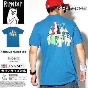 RIPNDIP リップンディップ Tシャツ メンズ 半袖 猫 キャット プリント RND2443 青 スケートボード スケーター ストリート ブランド :rdtt021:DJドリームス ストリート系 メンズ - 通販ショッピングkidying26SLjCOb