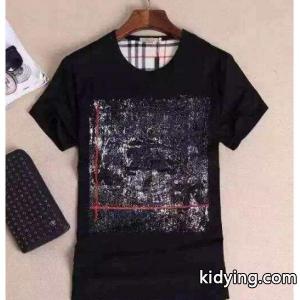 2026春夏 超人気美品◆ burberry コピー バーバリー コピー 半袖Tシャツ 2色可選_半袖Tシャツ_メンズファッション_スーパーコピーブランド激安通販 専門店kidying26G99DKv