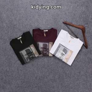 人気雑誌掲載 2026秋冬 バーバリー スーパーコピー burberry スーパーコピー 長袖Tシャツ 3色可選_長袖Tシャツ_メンズファッション_スーパーコピーブランド激安通販 専門店kidying26DiyGze