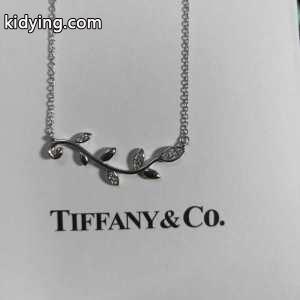 2026年SSトレンド新品登場 ティファニー コピーブランド コピーブランド tiffany&Co ネックレス 今やセレブ御用達で大人気の_ティファニー コピーブランド コピーブランド tiffany & Co_ブランド コピー 激安(日本最大級)kidying26rqGjGr