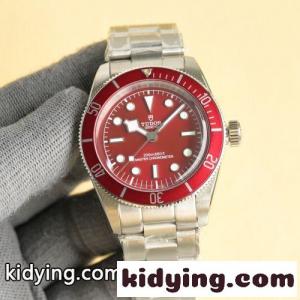 目を引く エレガント クラシック チューダー 時計 コピー 41mm メンズウォッチkid26PjeeOj