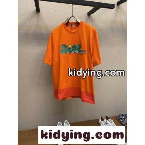 dior コピー AND KAWS Tシャツ クリスチャン・ディオール コピー Tシャツ コピー オレンジkid26KrCeqm