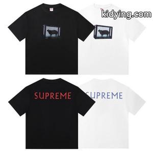 シュプリーム スーパーコピースーパーコピーsupreme スーパーコピー Tシャツ  通販ショッピングkidying26vKPjqm