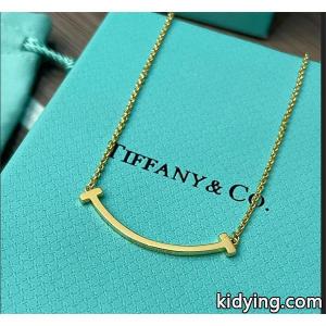 大人気新作スーパーコピー tiffany & Co ティファニー スーパーコピー コピー ペンダント ファイヤーフライ シンプルで輝きあるkidying26jqiuaa