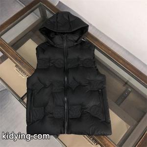 新品セール LOUIS vuitton コピーベストダウンコピー好印象_ルイ ヴィトン コピー LOUIS vuitton コピー_ブランド コピー 激安(日本最大級)kidying26LHP9Xn