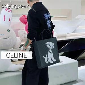2026限定のプレミアムアイテム celine コピー CABAS セリーヌ コピースーパーコピー トートバッグ スタイリッシュでカッコいい!kidying26bST1Lv
