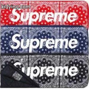 素敵な2026秋冬 AW supreme ブランド コピー x The NORTH face ブランド コピー 大容量のあるスリーピングバッグ_寝具_雑貨小物_スーパーコピーブランド激安通販 専門店kidying265Pf0fi