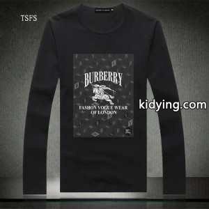 2026秋冬 超レア burberry コピー バーバリー コピー  長袖 Tシャツ_長袖Tシャツ_メンズファッション_スーパーコピーブランド激安通販 専門店kidying26myqeei