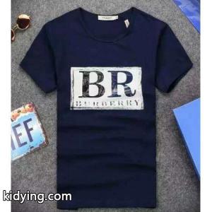 今年の大人気ファッション 2026春夏 完売品！burberry コピーブランド バーバリー コピーブランド 半袖Tシャツ 3色可選_半袖Tシャツ_メンズファッション_スーパーコピーブランド激安通販 専門店kidying26faWzia
