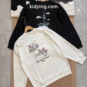 THE NORTH face コピーブランド ザノースフェイス コピーブランド コピー バックプリント スウェット ストリート 裏起毛kidying26DSHv8v