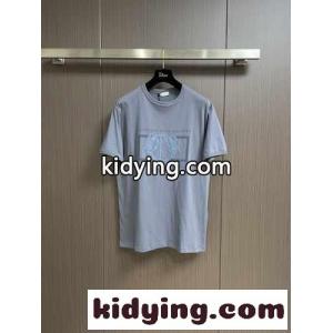 2026SS クルーネック 半袖Tシャツ クリスチャン・ディオール コピーブランド Tシャツ コピー グレーkid26aKjyea