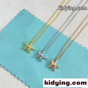 ティファニー スーパーコピー スーパーコピー tiffany ＆ Coコピー新作五角星ネックレス人気2026トレンドプレゼント最適３色kidying26m0PLru