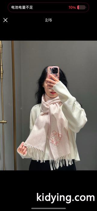 Loeweブランド スーパー コピー 優良店パーカセーター韓国の人気 超激安アイテム 高レビューアイテム._0_1