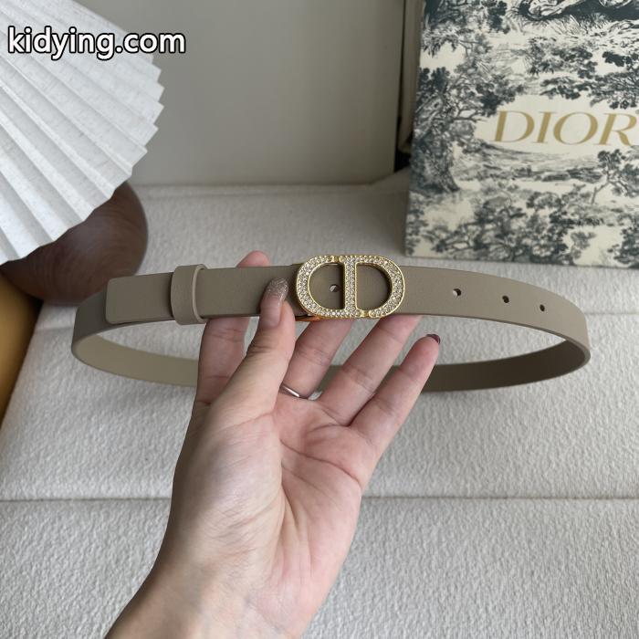 希少価値大！ 高級感あるスタイル 一目置かれちゃう&nbsp;&nbsp;&nbsp;&nbsp;ベルトコピー 商品 販売DIOR._0_3