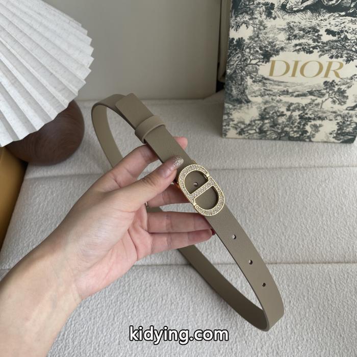希少価値大！ 高級感あるスタイル 一目置かれちゃう&nbsp;&nbsp;&nbsp;&nbsp;ベルトコピー 商品 販売DIOR._0_4