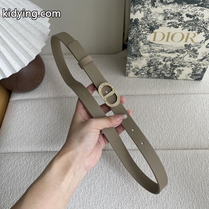 希少価値大！ 高級感あるスタイル 一目置かれちゃう&nbsp;&nbsp;&nbsp;&nbsp;ベルトコピー 商品 販売DIOR._0_5