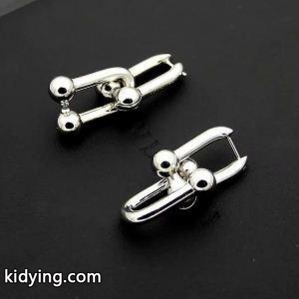 高評価人気品 ティファニー Tiffany&Coピアス 2018話題となる3色可選 お買い得特価_ティファニー Tiffany & Co_ブランド コピー 激安(日本最大級)-3