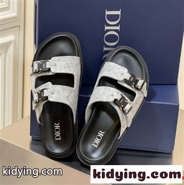 気になるアイテム人気 サンダル 残り僅 ディオール DIOR 気軽におしゃれを楽しめる 人気ブランドの最新_ディオール DIOR_ブランド コピー 激安(日本最大級)-0