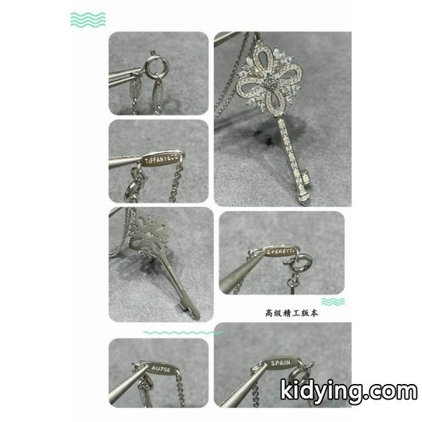 エレガント表情 キーモチーフ ネックレス 特別デザイン Tiffany&Co ティファニー コピー-0