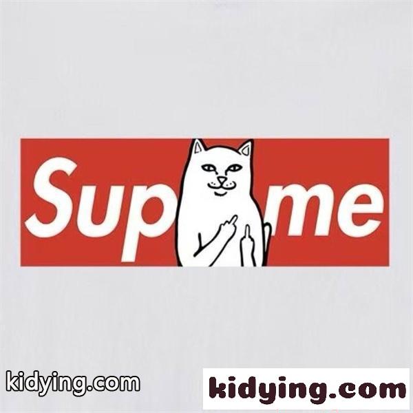 高い人気 SUPREME 2026SSのトレンド商品 夏にぴったり上品 シュプリーム tシャツコピー 激安(日本最大級)-8