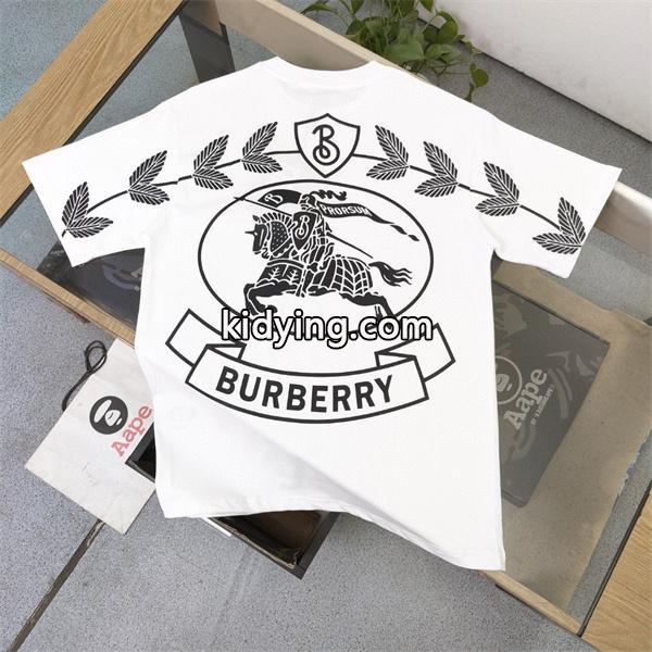 最先端のスタイル バーバリー人気 BURBERRY 半袖Tシャツ 2年以上連続1位獲得_半袖Tシャツ_メンズファッション_スーパーコピーブランド激安通販 専門店-0