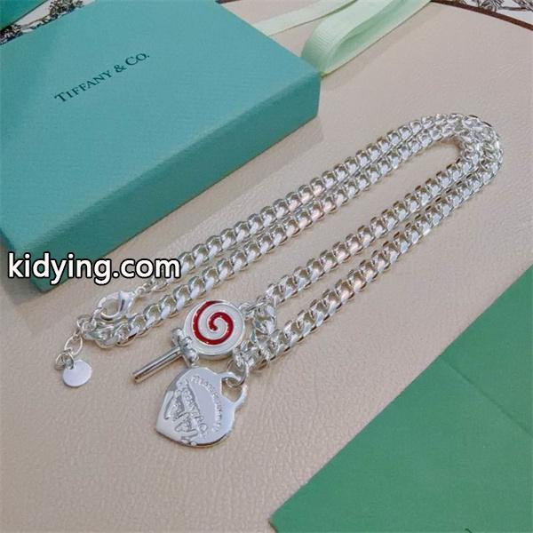 Tiffany&Co ティファニー コピー 存在感チェーン アイコニック チャーム ネックレス-3