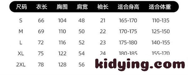 メタルプレート 胸元アクセント ベーシックシルエット DOLCE & GABBANA ドルチェ&ガッバーナ コピー 半袖Tシャツ デイリーファッション-8