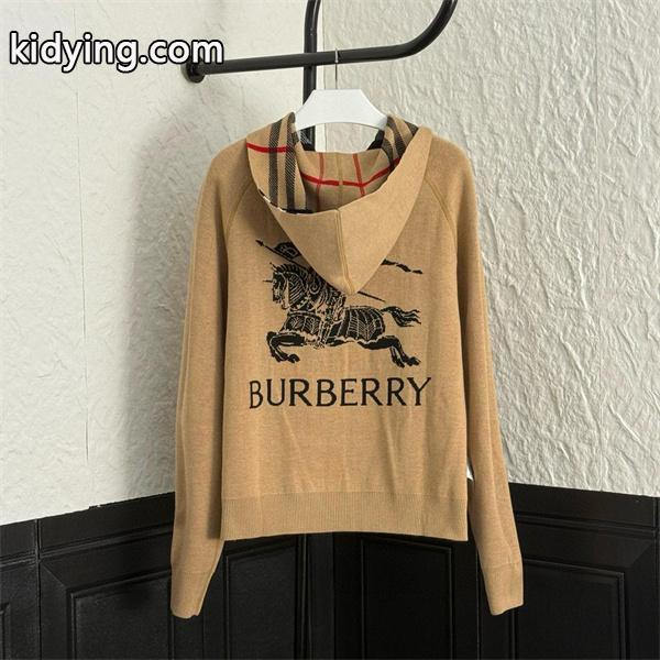 カーキロゴアクセント 秋冬大人気注目 バーバリー 偽物 パーカーニット クオリティ Burberry 2025AW注目-0
