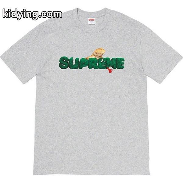 ブランド コピー 安心　注目のアイテム 2021春夏 SUPREME シュプリーム ファション 男女兼用 半袖Tシャツ_シュプリーム SUPREME_ブランド コピー 激安-0