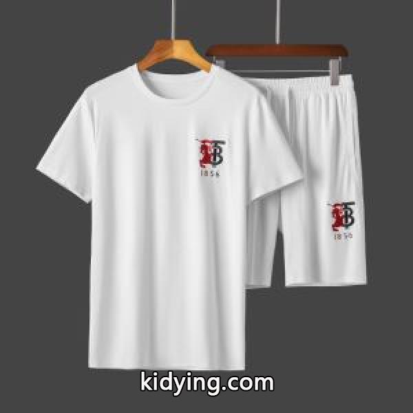 海外限定ライン 2色可選 半袖Tシャツ 注目を集めてる バーバリー 世界共通のアイテム BURBERRY_半袖Tシャツ_メンズファッション_スーパーコピーブランド激安通販 専門店-0