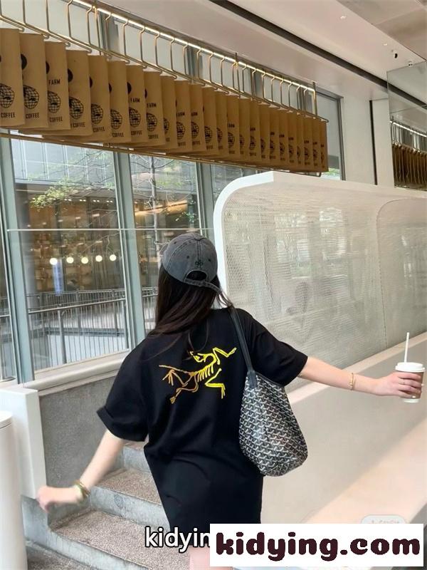 ワンポイント刺繍 半袖カットソー ARCTERYX ベーシックカラー展開 定番 アークテリクス コピー-1