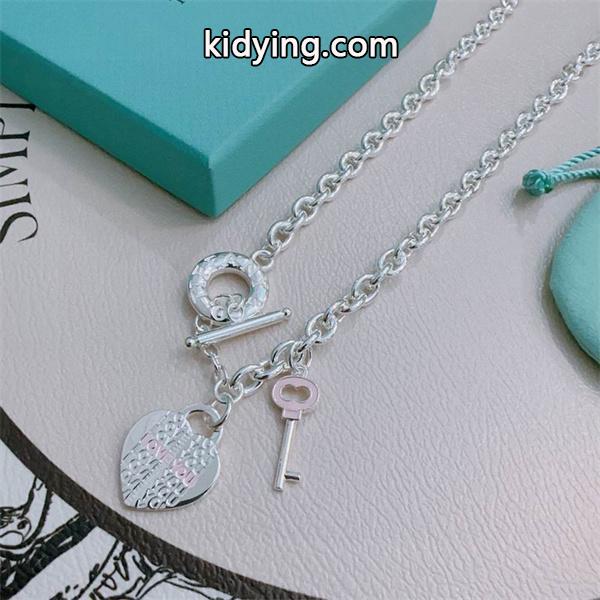 入手困難! アイコニック モチーフ チェーン ネックレス Tiffany&Co ティファニー コピー-1