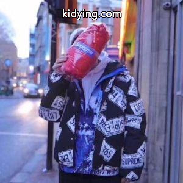 秋のお出かけに最適 Supreme 17FW License Plate Puffy Jacket SUPREME シュプリーム 多色可選 超人気_シュプリーム SUPREME_ブランド コピー 激安(日本最大級)-4