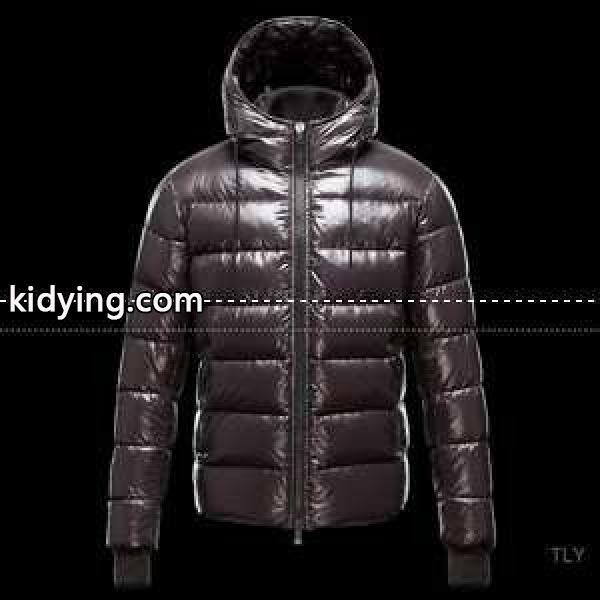 2013-14/AW新作 モンクレール MONCLER メンズ ダウンジャケット_男性用ダウンジャケット_モンクレール特集_スーパーコピーブランド激安通販 専門店-0