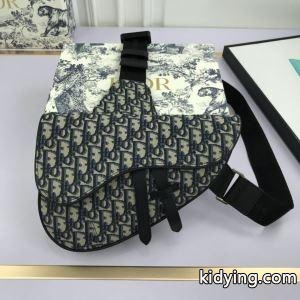 レディースバッグ 2色可選 こなれた雰囲気が特徴 ディオール 春夏にも楽しむすアイルに DIOR_ディオール DIOR_ブランド コピー 激安(日本最大級)-1