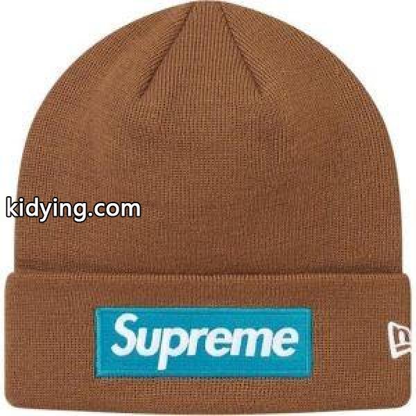 多色可選 SUPREME シュプリーム ニットキャップ Supreme 16FW 17FW 18FW New Era Box Logo Beanie 今一番熱い_シュプリーム SUPREME_ブランド コピー 激安(日本最大級)-5
