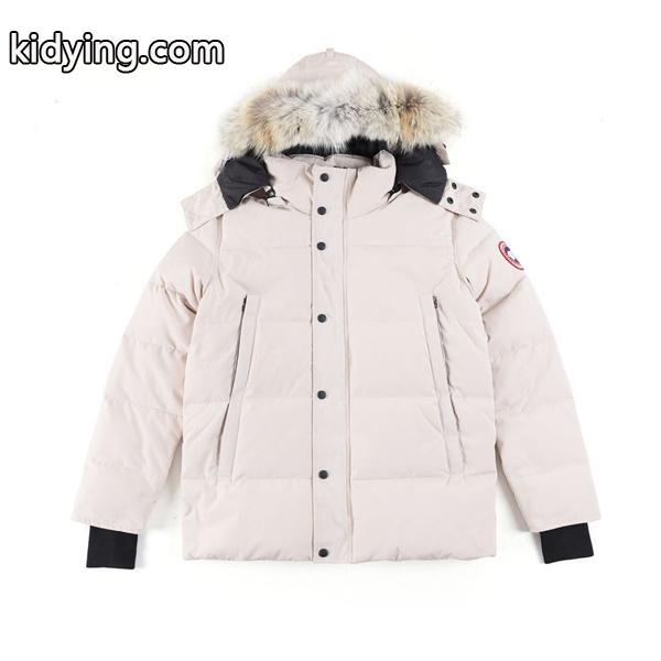 真冬に欠かせないCANADA GOOSE　カナダグース　メンズ用のダウンジャケット　男性_カナダグース CANADA GOOSE_ブランド コピー 激安(日本最大級)-0