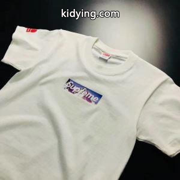 SUPREMEシュプリーム激安The North Face Mountain Tee Box　半袖tシャツ　男女兼用半袖tシャツ　ブラック　ホワイト2色-1