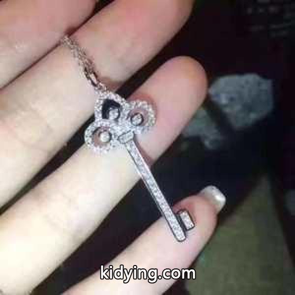 ネックレス ティファニー Tiffany&Co 2019年春夏ファッションに最も 爆発的人気オシャレ度がアップ_ティファニー Tiffany & Co_ブランド コピー 激安(日本最大級)-0