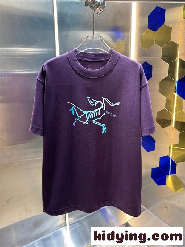 アウトドアテイスト モダンデザイン 快適な着心地 ARCTERYX アークテリクス コピー クルーネックTシャツ-1