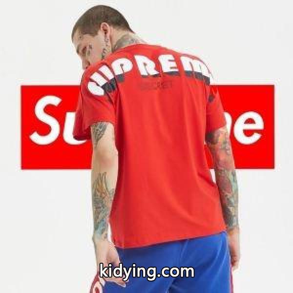 注目ブランドは2019最新 これからの季節、大活躍 シュプリーム SUPREME 半袖Tシャツ 3色可選_シュプリーム SUPREME_ブランド コピー 激安(日本最大級)-2