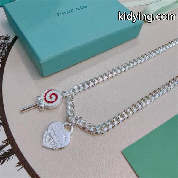 Tiffany&Co ティファニー コピー 存在感チェーン アイコニック チャーム ネックレス-2